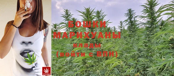 тгк Володарск